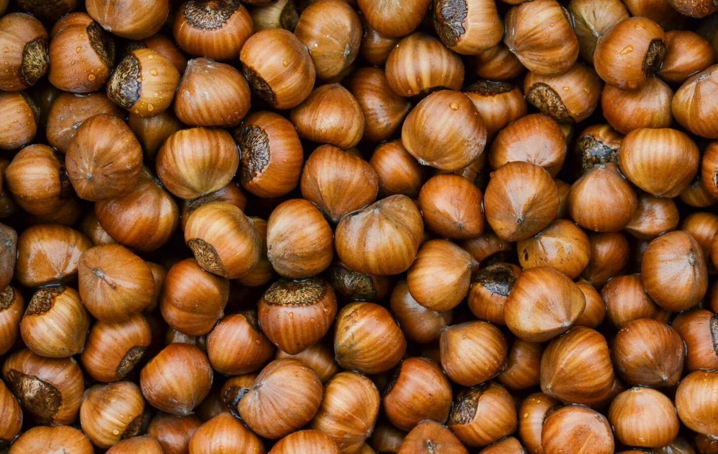 Hazelnuts
