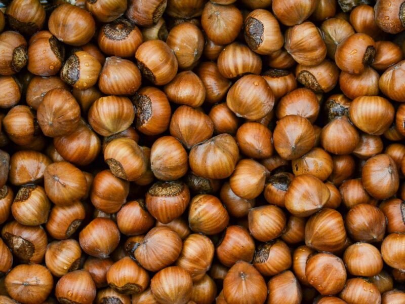 Hazelnuts