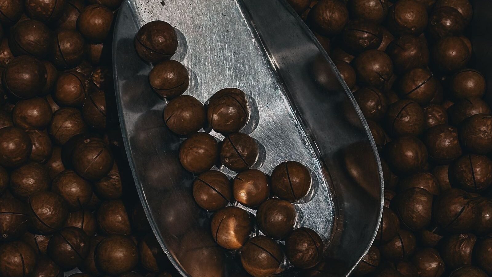 Macadamias