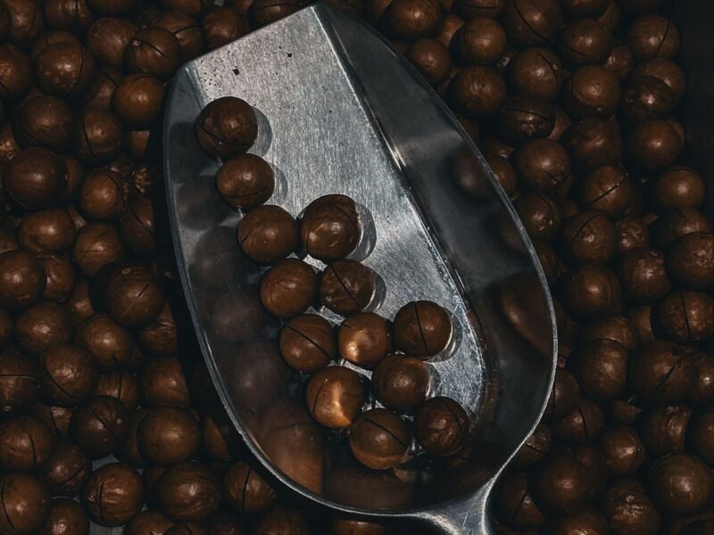 Macadamias