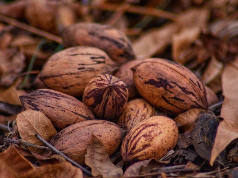 Pecans