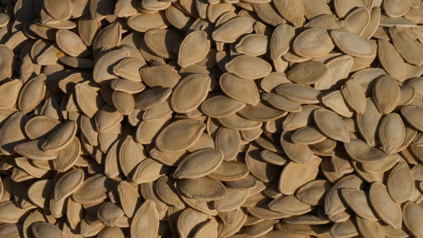 Pumpkin seeds