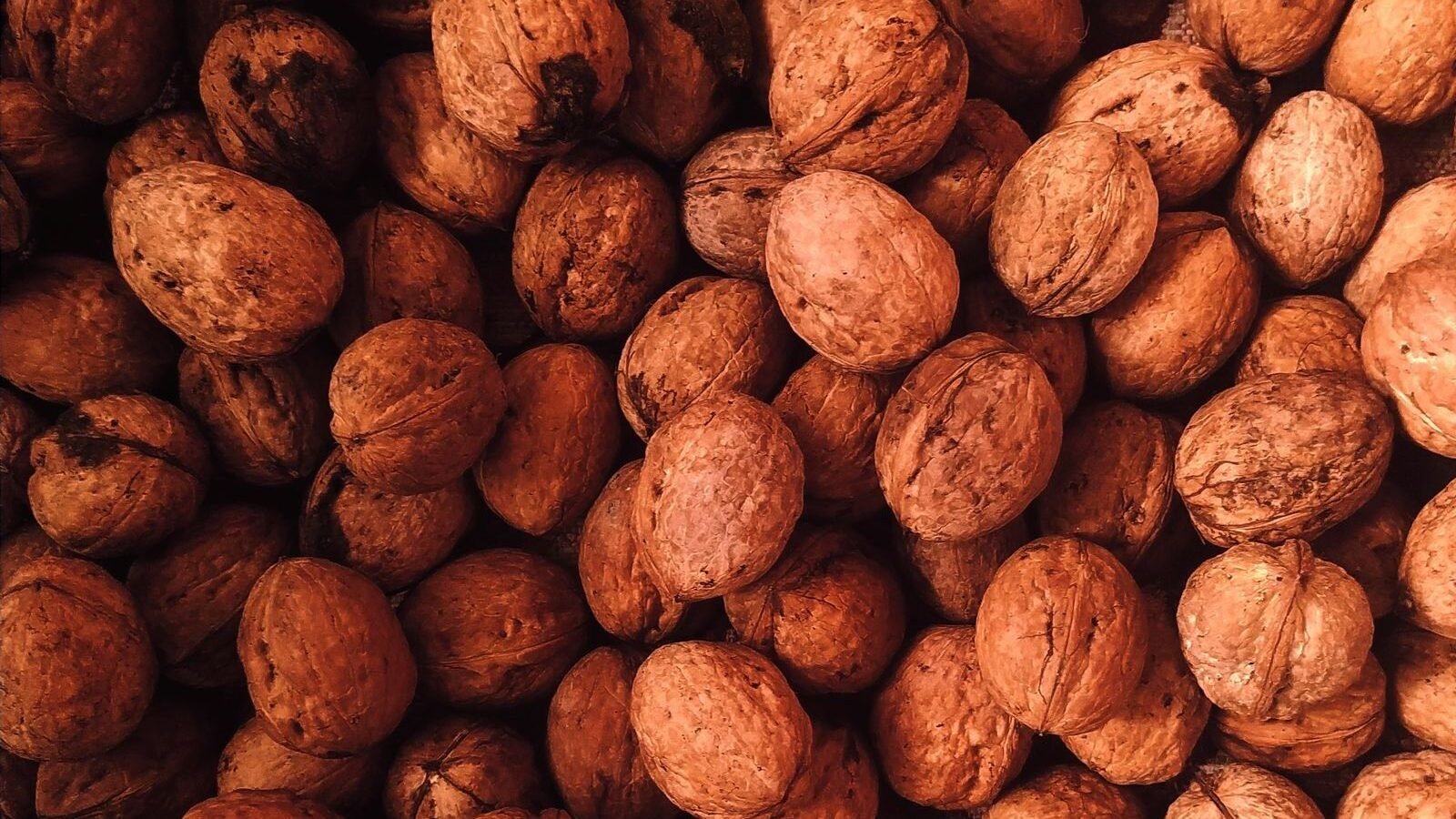 Walnuts in-shell